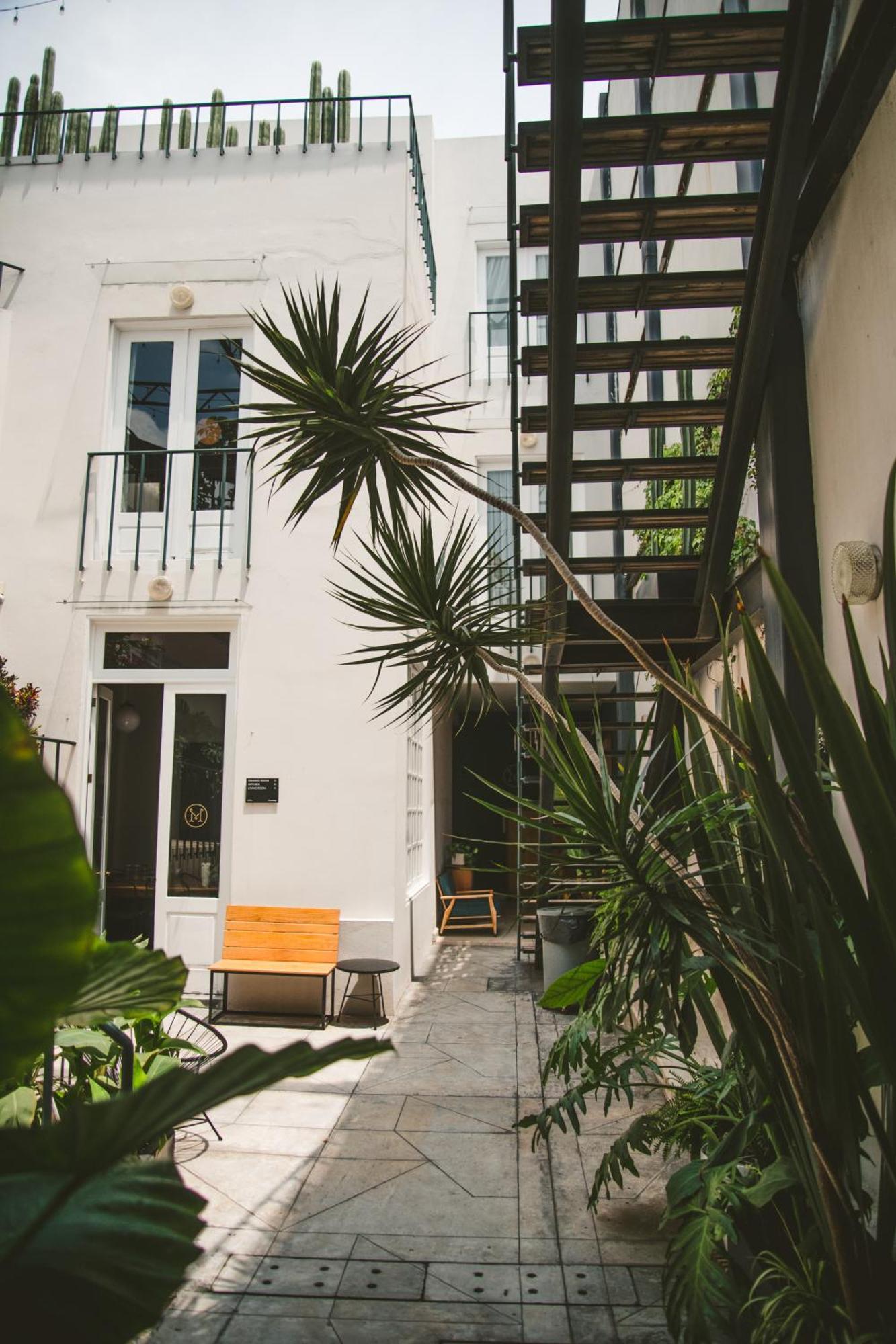 Exclusive Oasis In Roma Norte W Rooftop 8br 85ba *
